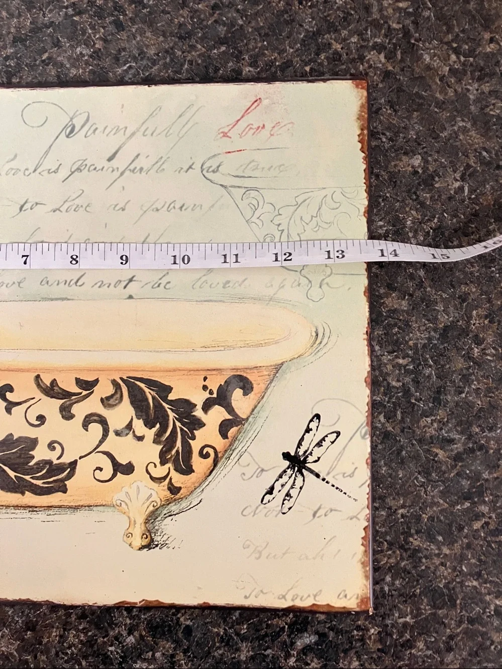 Set of 2 metal Paris bathtub pictures  vintage look